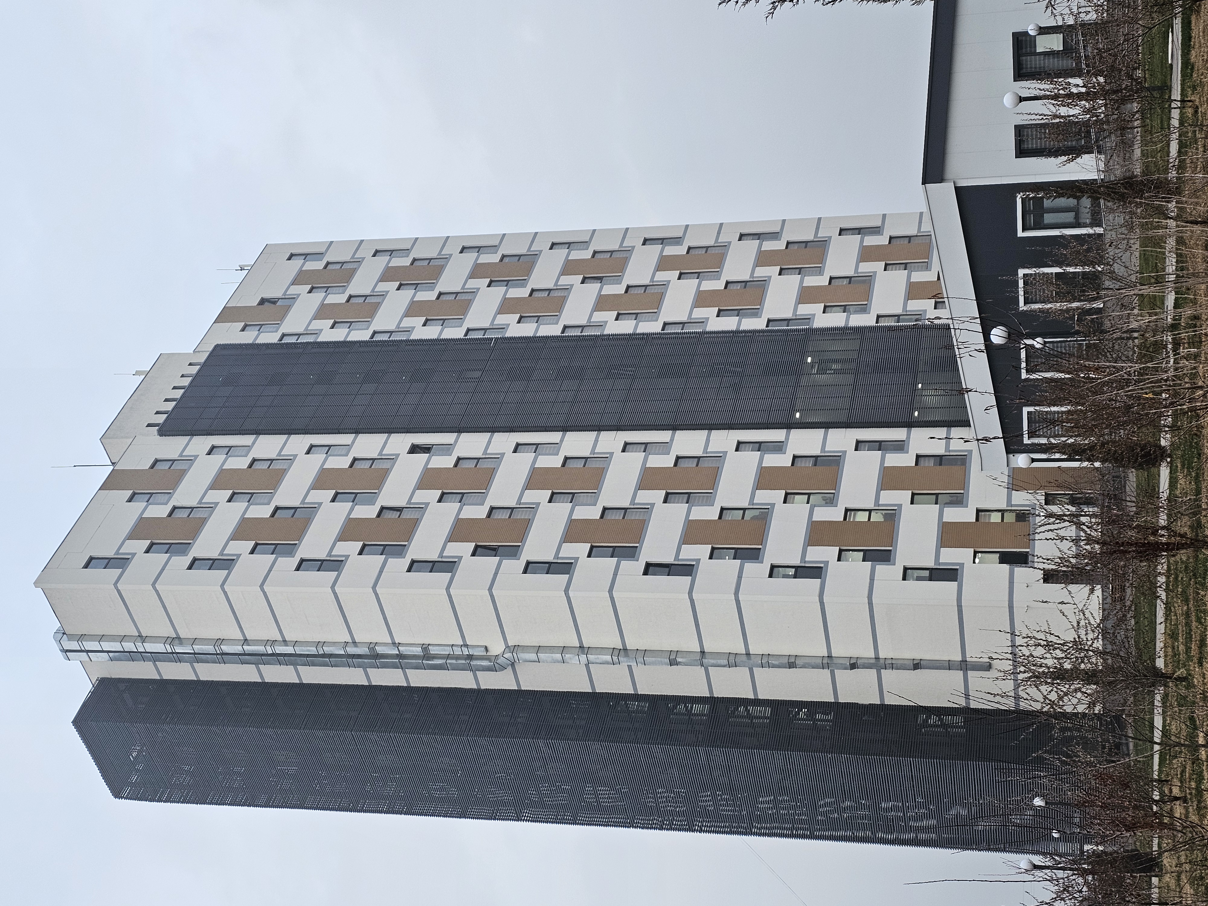 Tukli mushuklar bilan eski ahmoqlar